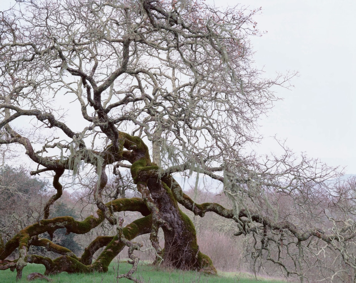 Ken Gonzales-Day Run Up, 2004-12 LightJet print on aluminum ​60 x 75 in.