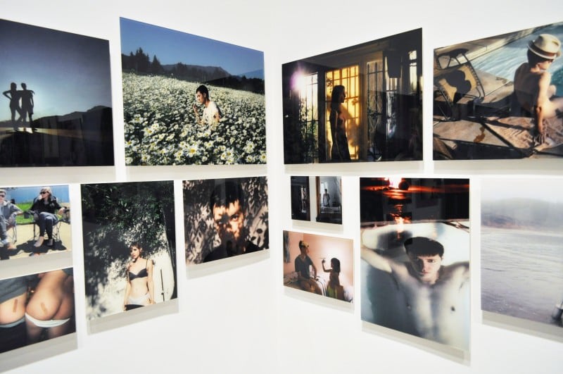 Installation View of Zackary Drucker &amp;amp; Rhys Ernst&#039;s&nbsp;Relationship&nbsp;(2008-2014) at the&nbsp;2014 Whitney Biennial