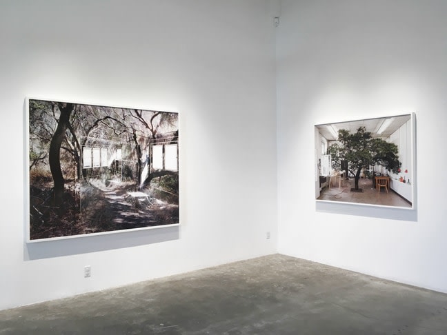 Installation view of Chris Engman: Prospect And Refuge
