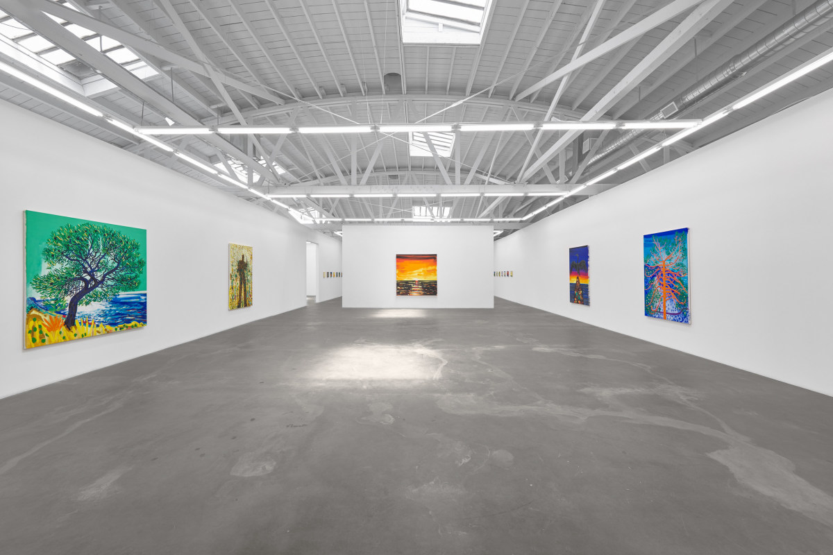 Installation view of ERIK OLSON: The Mountain and the Sea, on view June 17 - August 5, 2023