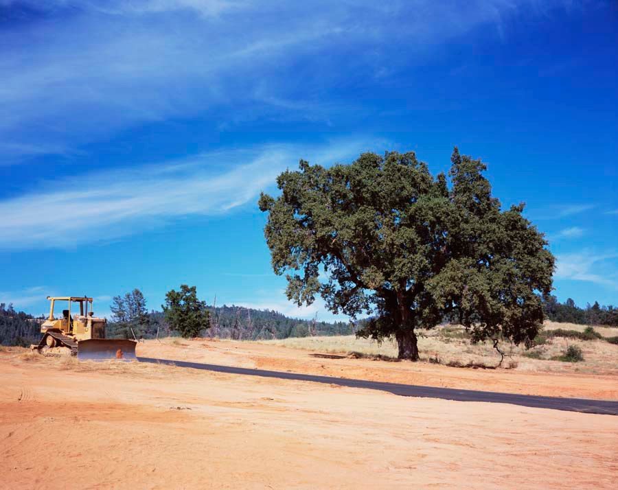 Ken Gonzales-Day Old Oregon Trail, 2005