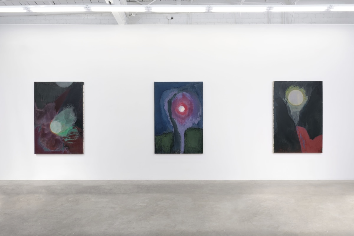 Installation View 2 of Nancy Evans: Moonshadow