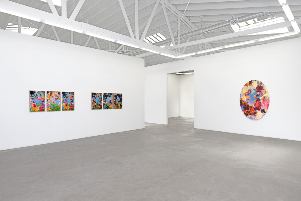 Installation view 5 of Andre Hemer: Phenomena