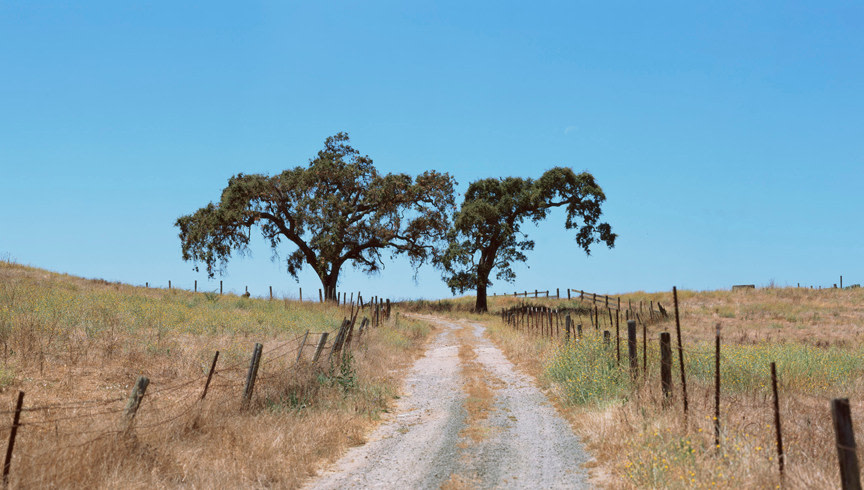 Ken Gonzales-Day Two men were found on a tree, 2005