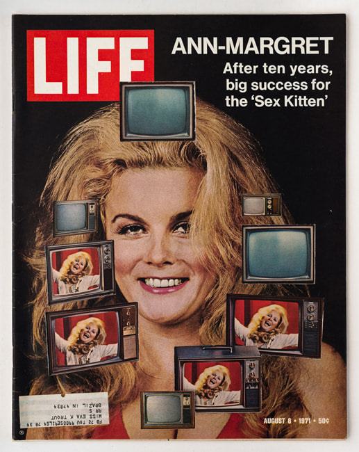 Dennis Koch, LIFE Cutout No. 045 (August 6, 1971, Ann-Margaret TVs)