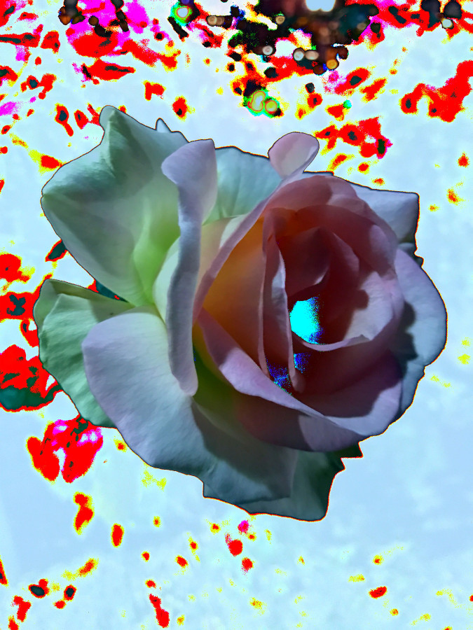 Masood Kamandy&nbsp; Night Flower (White),&nbsp;2017