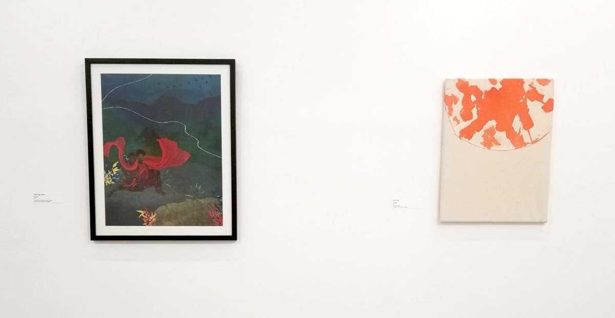 Installation view of Carla Jay Harris' The Lake&nbsp;at the Xela Institute of Art Inaugural Exhibition