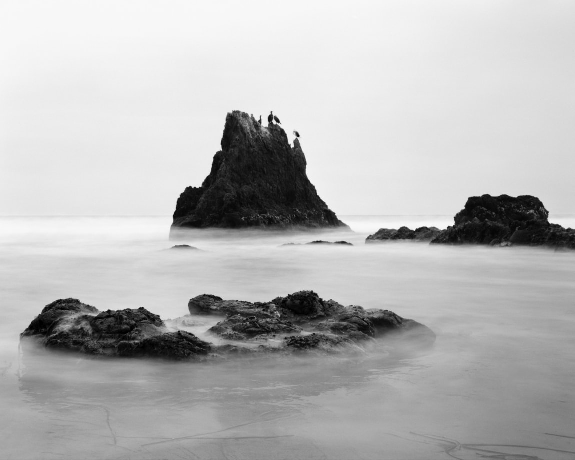 Jasmine Swope's exhibition, Our Ocean's Edge, at The La Jolla Historical Society