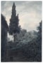 John Robert Cozens, The eight hundred year old Cypress in the Garden of the Franciscan Monastery at Salerno