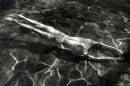 Andr&eacute; Kert&eacute;sz -  Underwater Swimmer Esztergom, 1917  | Bruce Silverstein Gallery