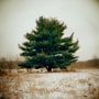 Todd Hido -  #9238-a, 2010  | Bruce Silverstein Gallery