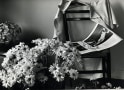 Andr&eacute; Kert&eacute;sz -  Flowers for Elizabeth, 1976  | Bruce Silverstein Gallery
