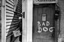 Frank Paulin -  Bad Dog, New Orleans, 1952  | Bruce Silverstein Gallery