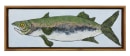 Zachary Armstrong &quot;Baby Blue Fish&quot;, 2018 Encaustic and oil on canvas in artist frame 8 1/4 x 22 1/2 inches