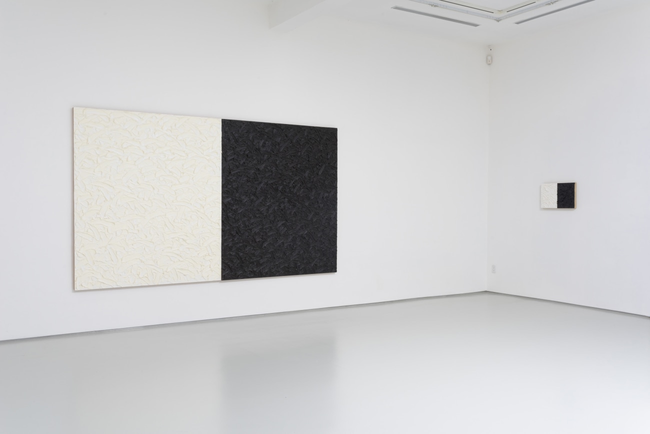 James Hayward - Exhibitions - Roberts Projects LA