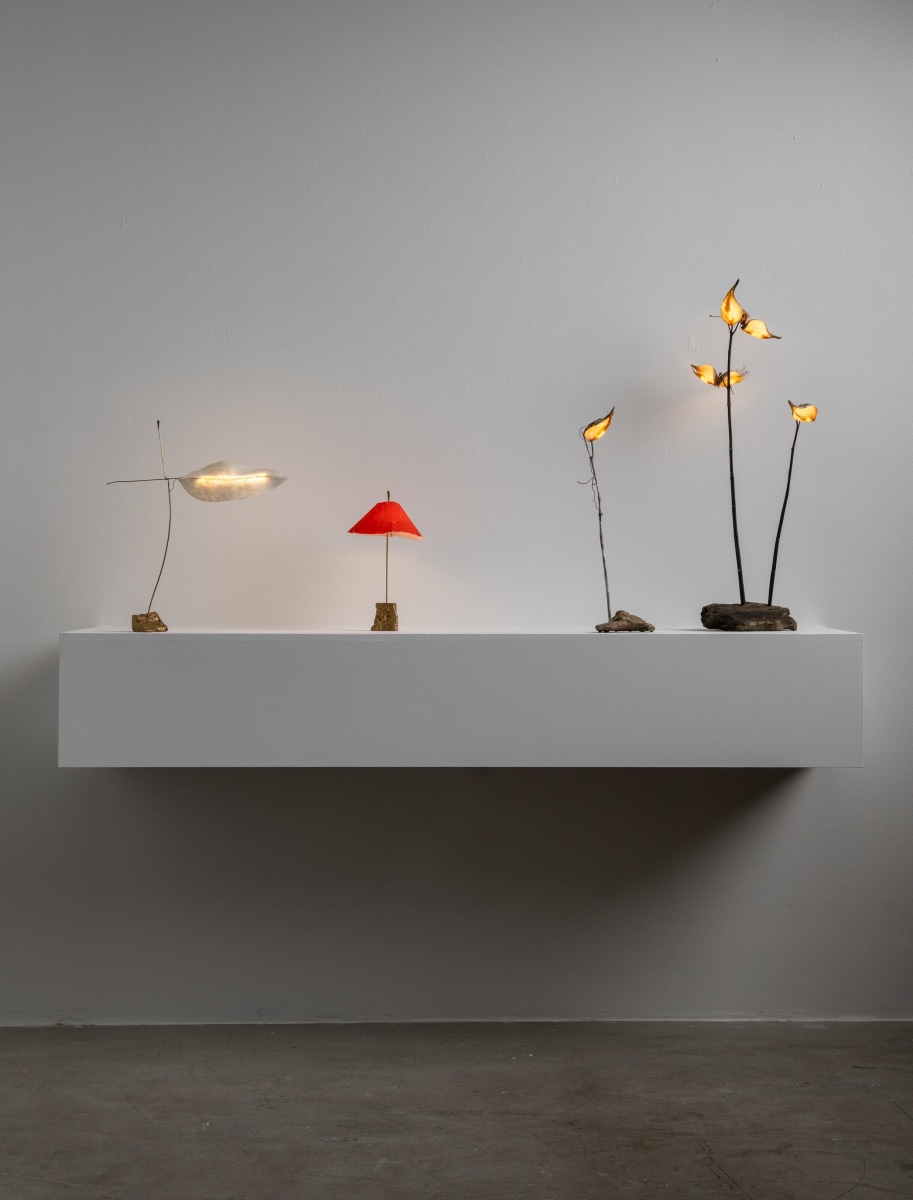 Jake Coan: Species | Los Angeles