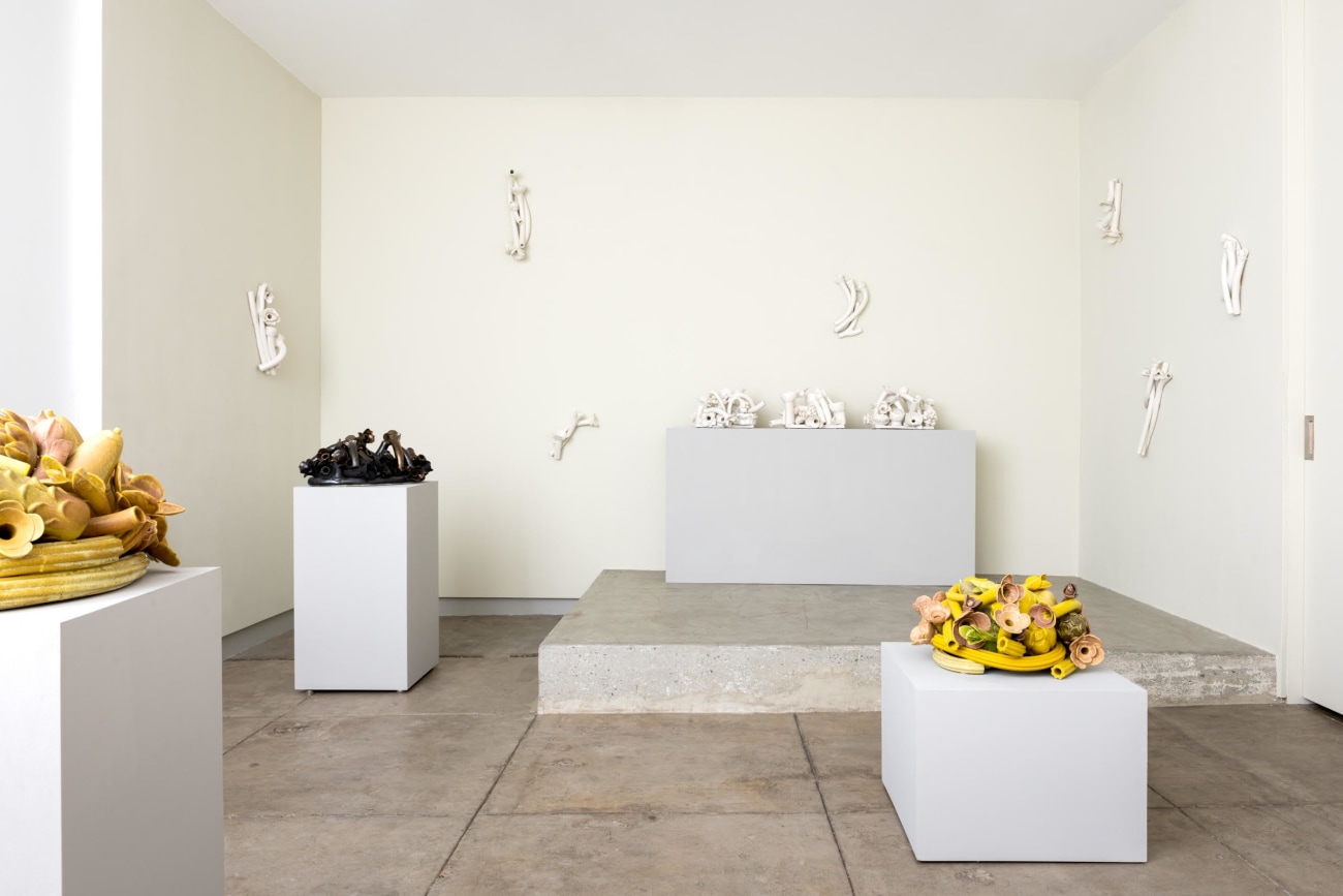 Anat Shiftan | Los Angeles