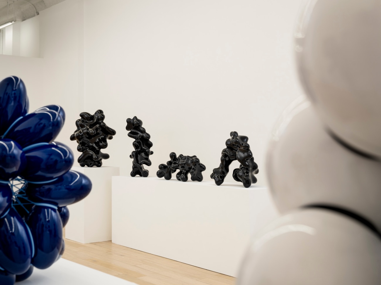 Steen Ipsen: Organic Reflection