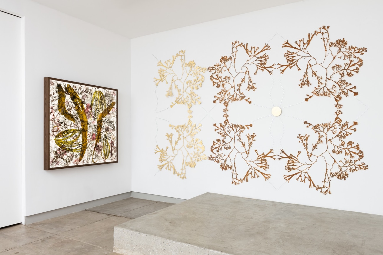 Astrid Krogh: Arabesque | Los Angeles