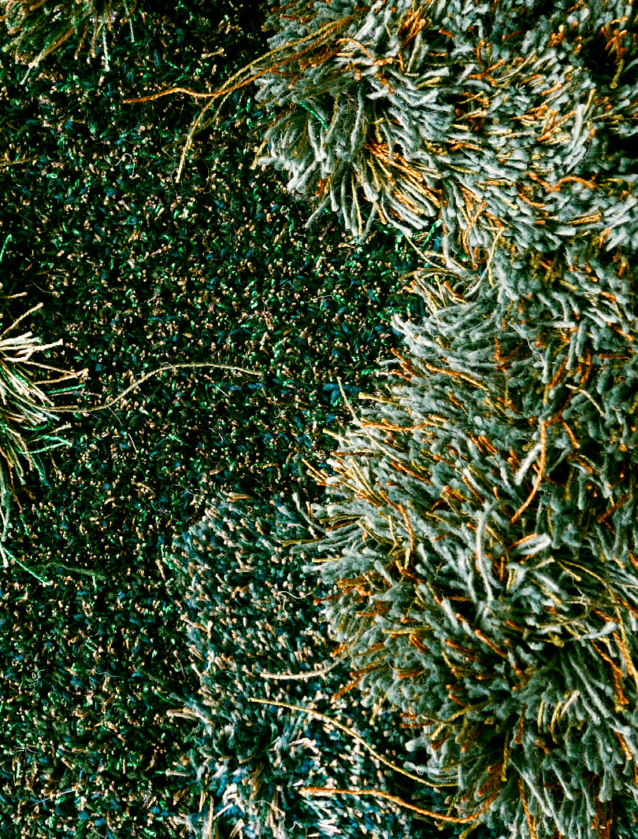 Louise Hederstr&ouml;m