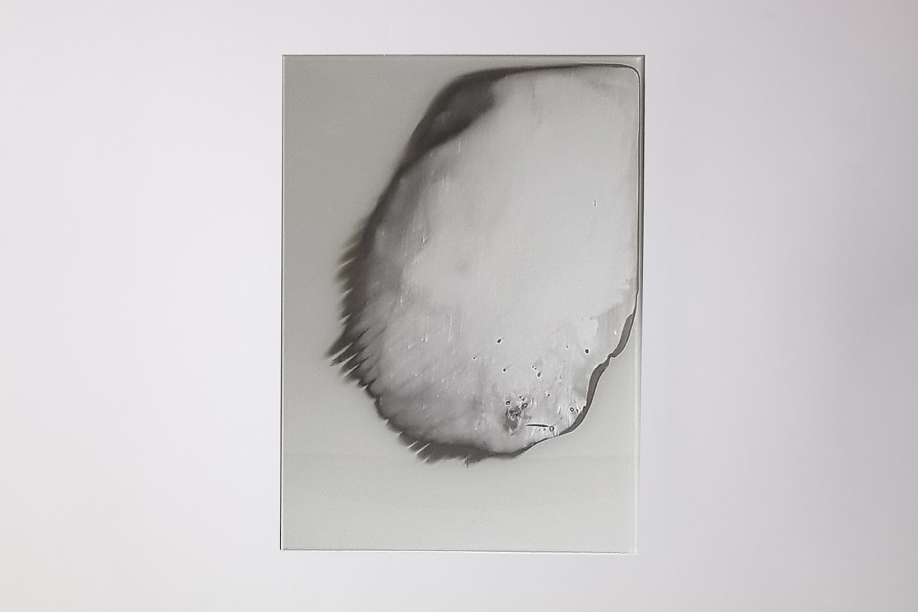 Jenny Nordberg x Eva Zethraeus