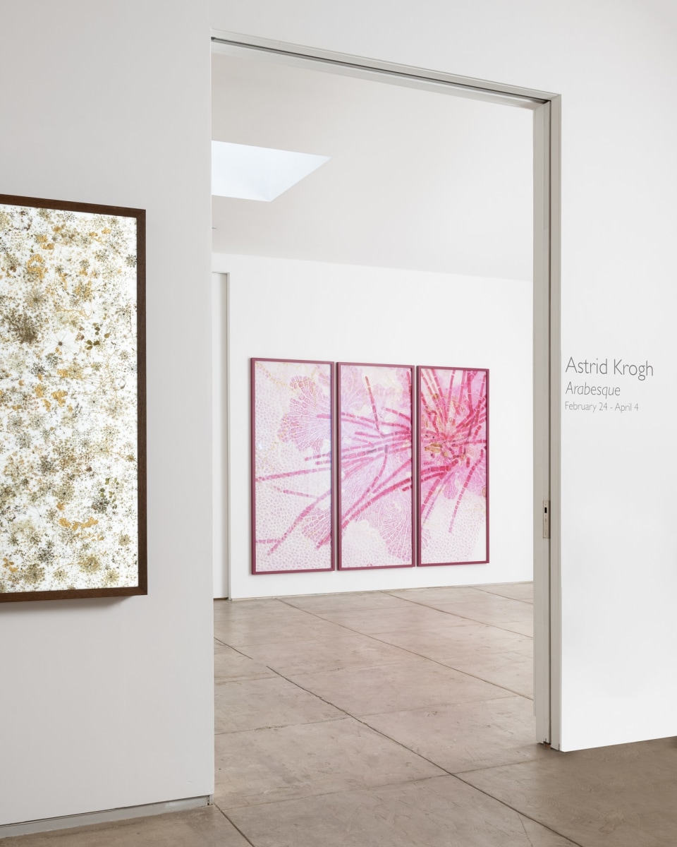 Astrid Krogh: Arabesque | Los Angeles