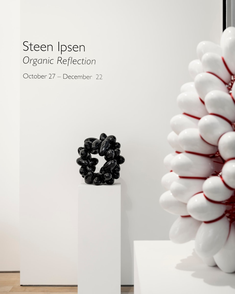 Steen Ipsen: Organic Reflection