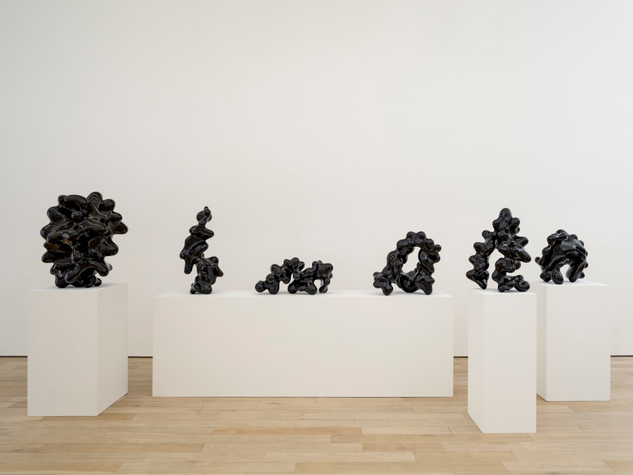 Steen Ipsen: Organic Reflection