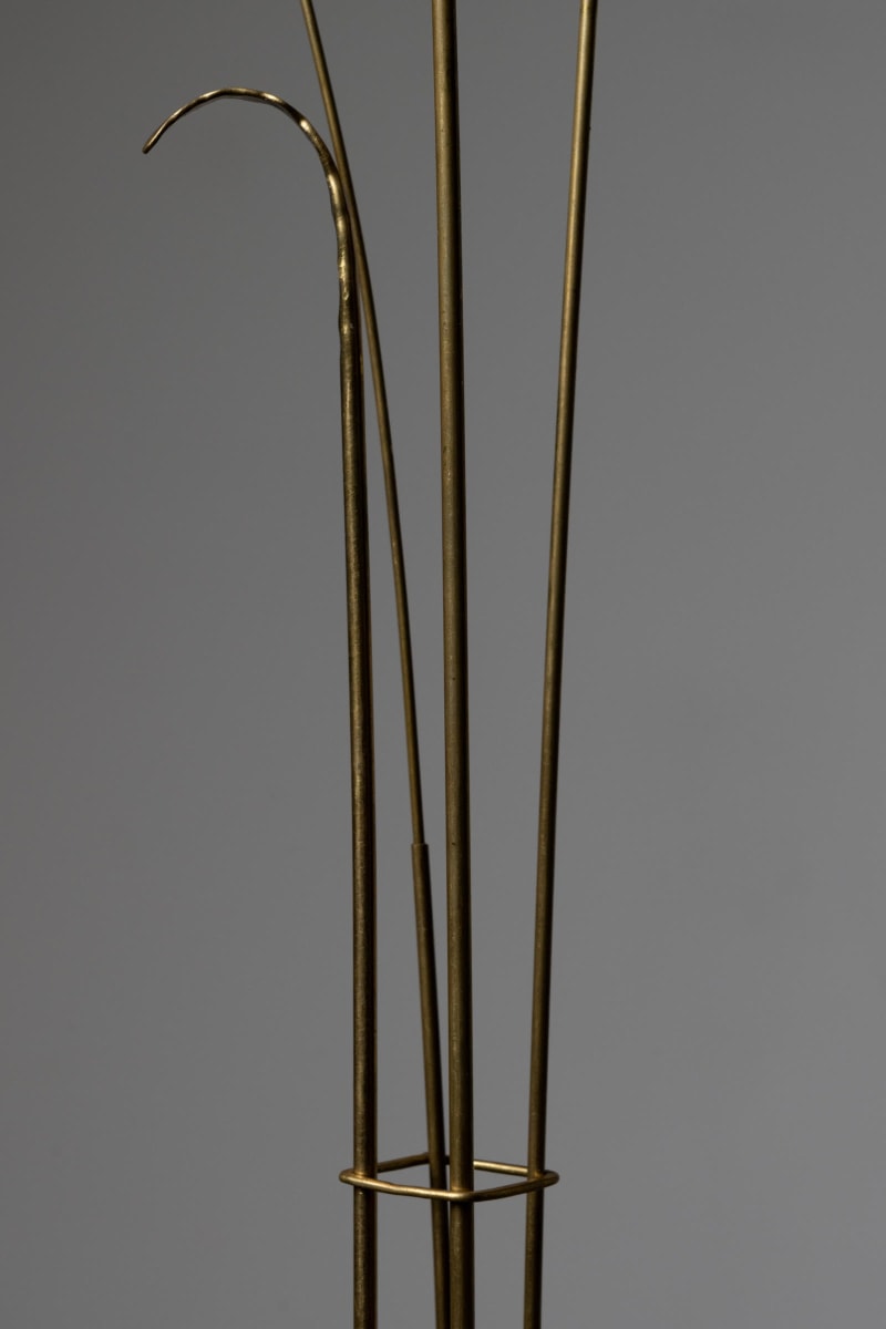 Jake Coan: Species | Los Angeles