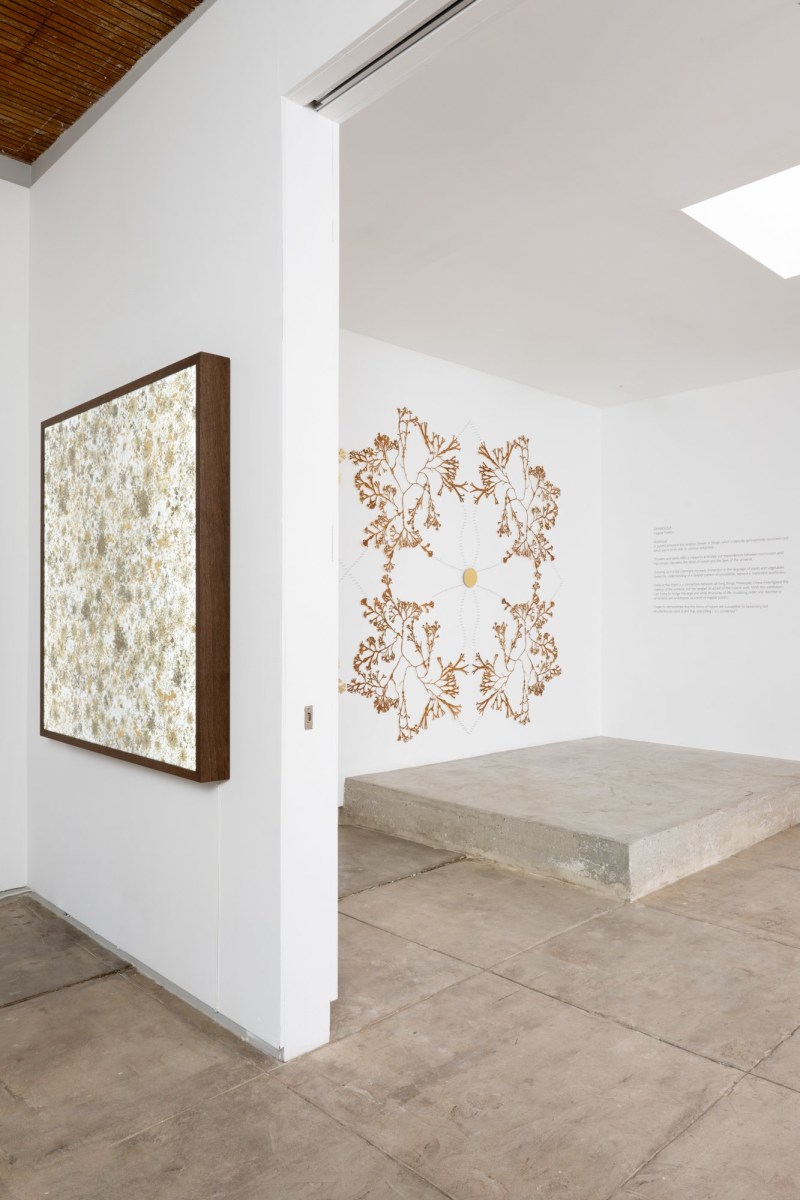 Astrid Krogh