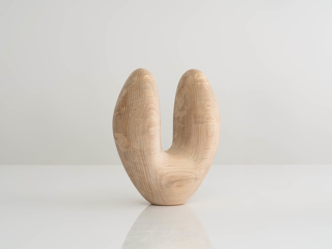 ANNE BRANDH&Oslash;J