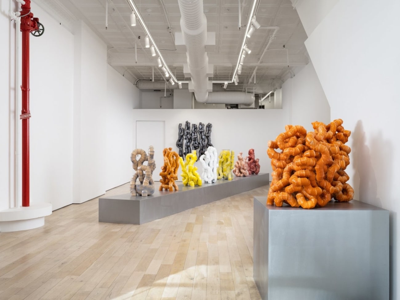 Martin Bodilsen Kaldahl: Probing the Floor, Sniffing the Air
