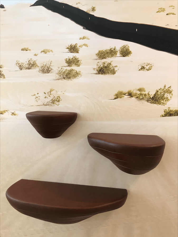 Louise Hederstr&ouml;m and Carina Grefmar