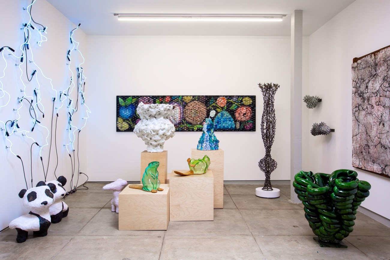 Photo Credit: Shade Degges