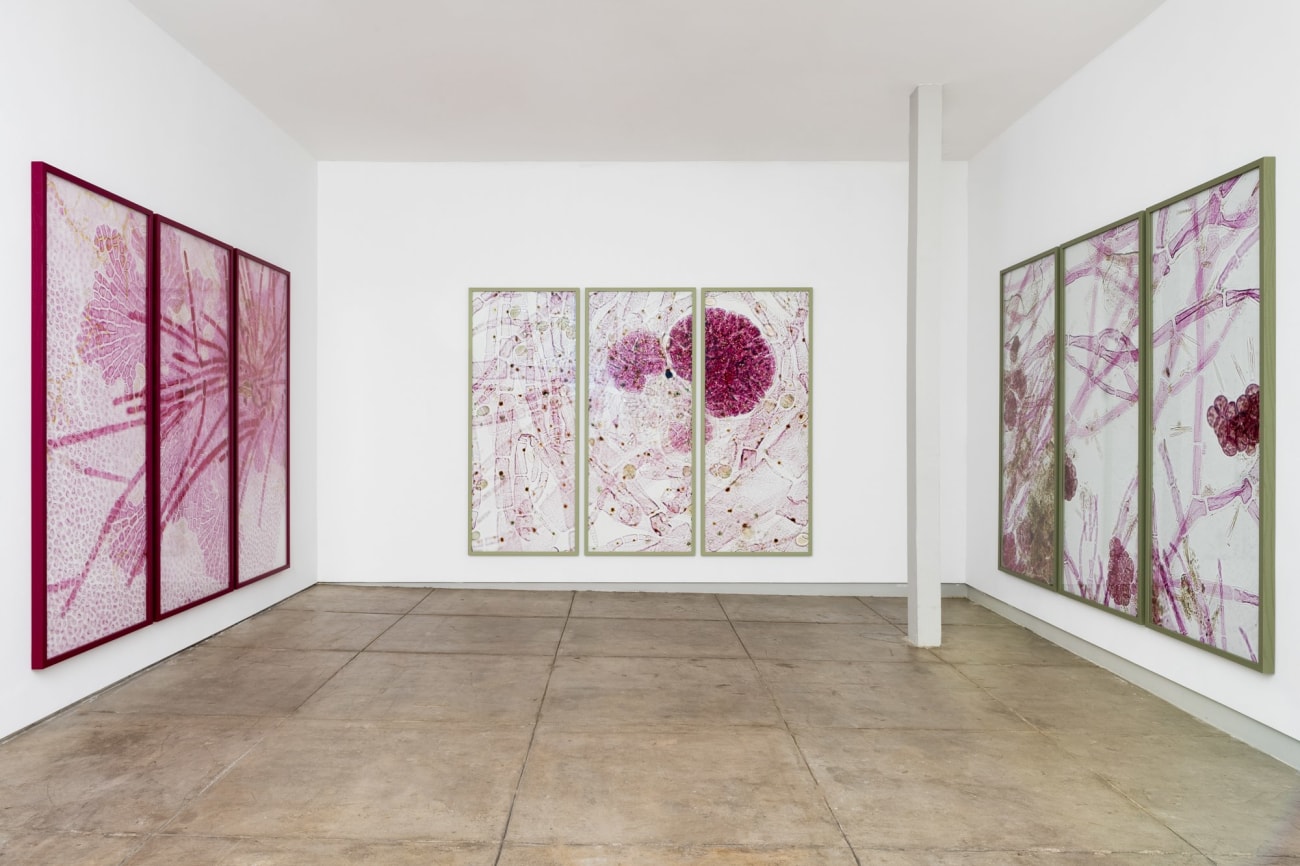 Astrid Krogh: Arabesque | Los Angeles