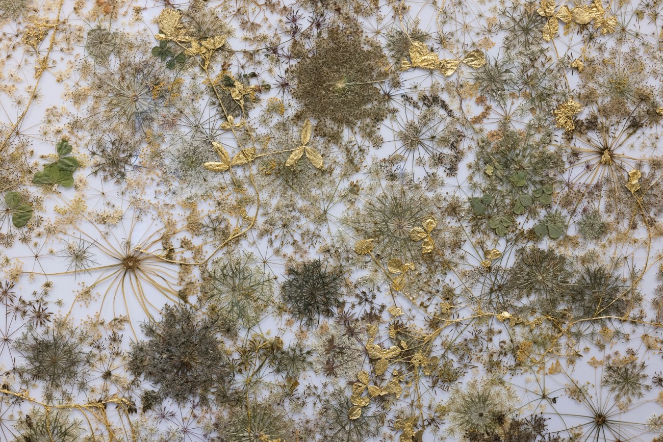 Astrid Krogh: Arabesque | Los Angeles