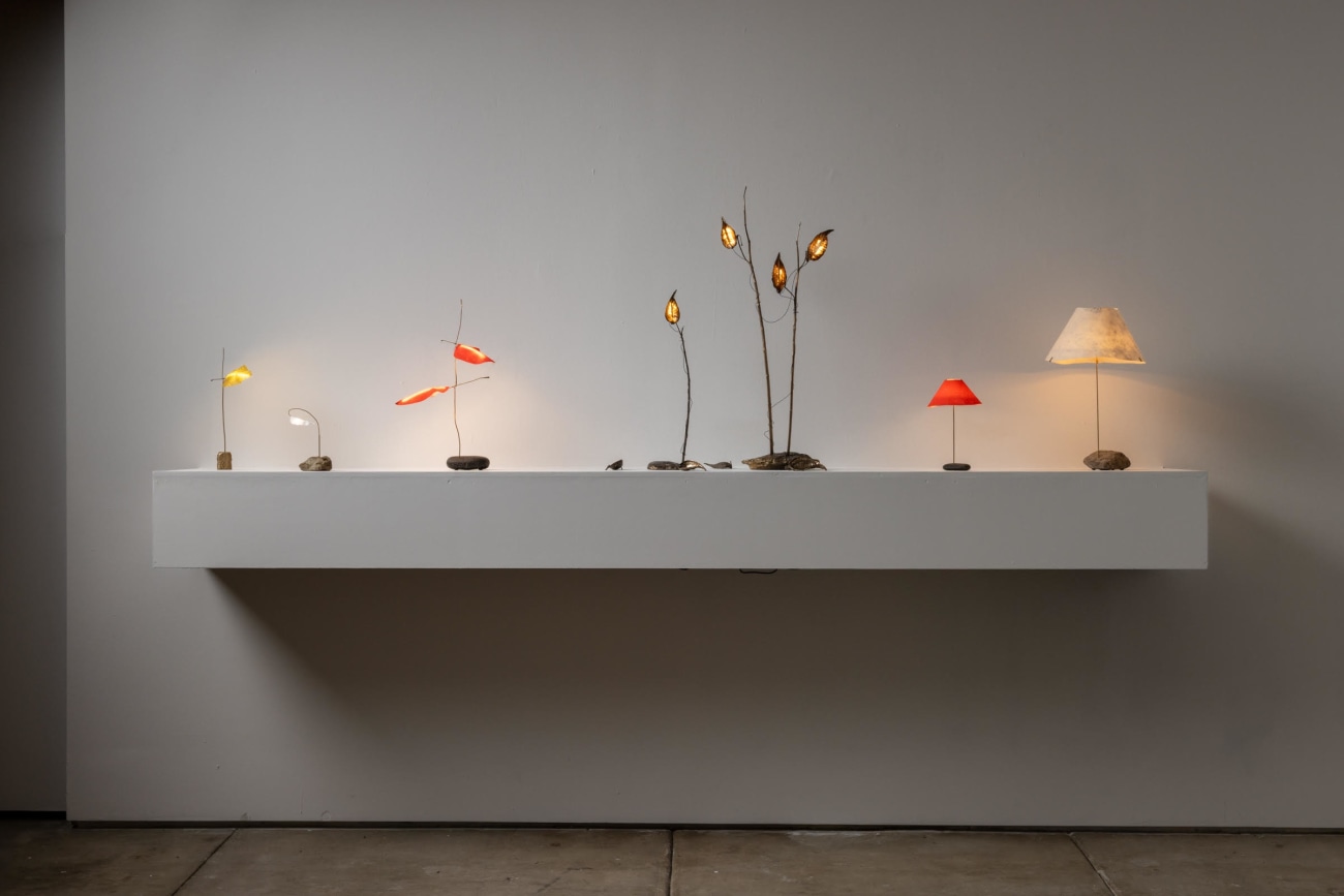 Jake Coan: Species | Los Angeles