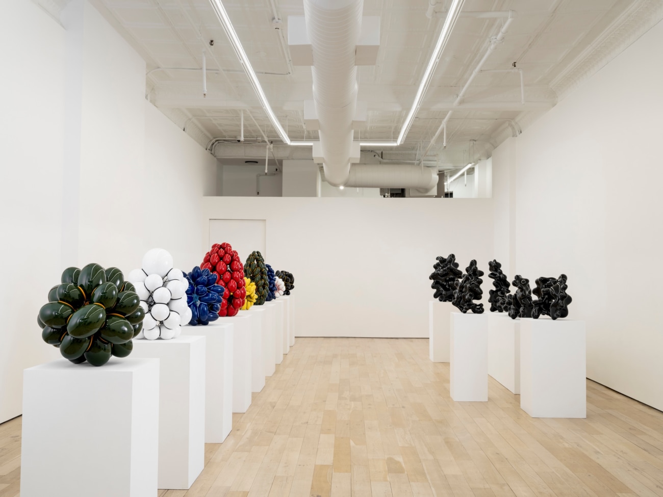 Steen Ipsen: Organic Reflection