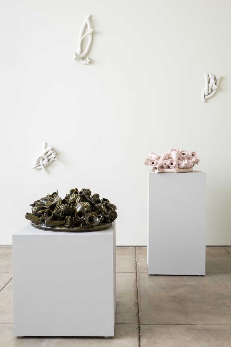 Anat Shiftan | Los Angeles