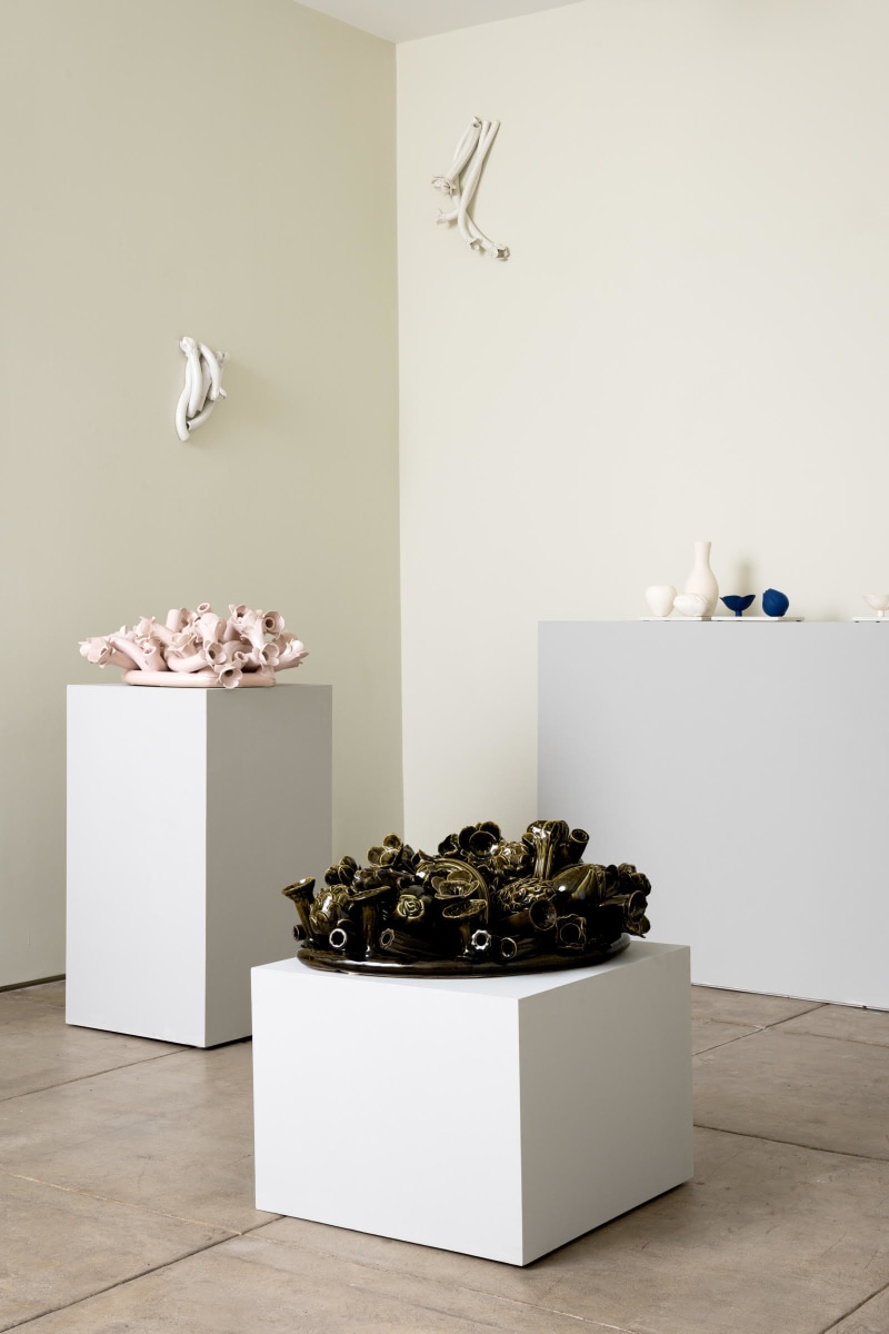 Anat Shiftan | Los Angeles