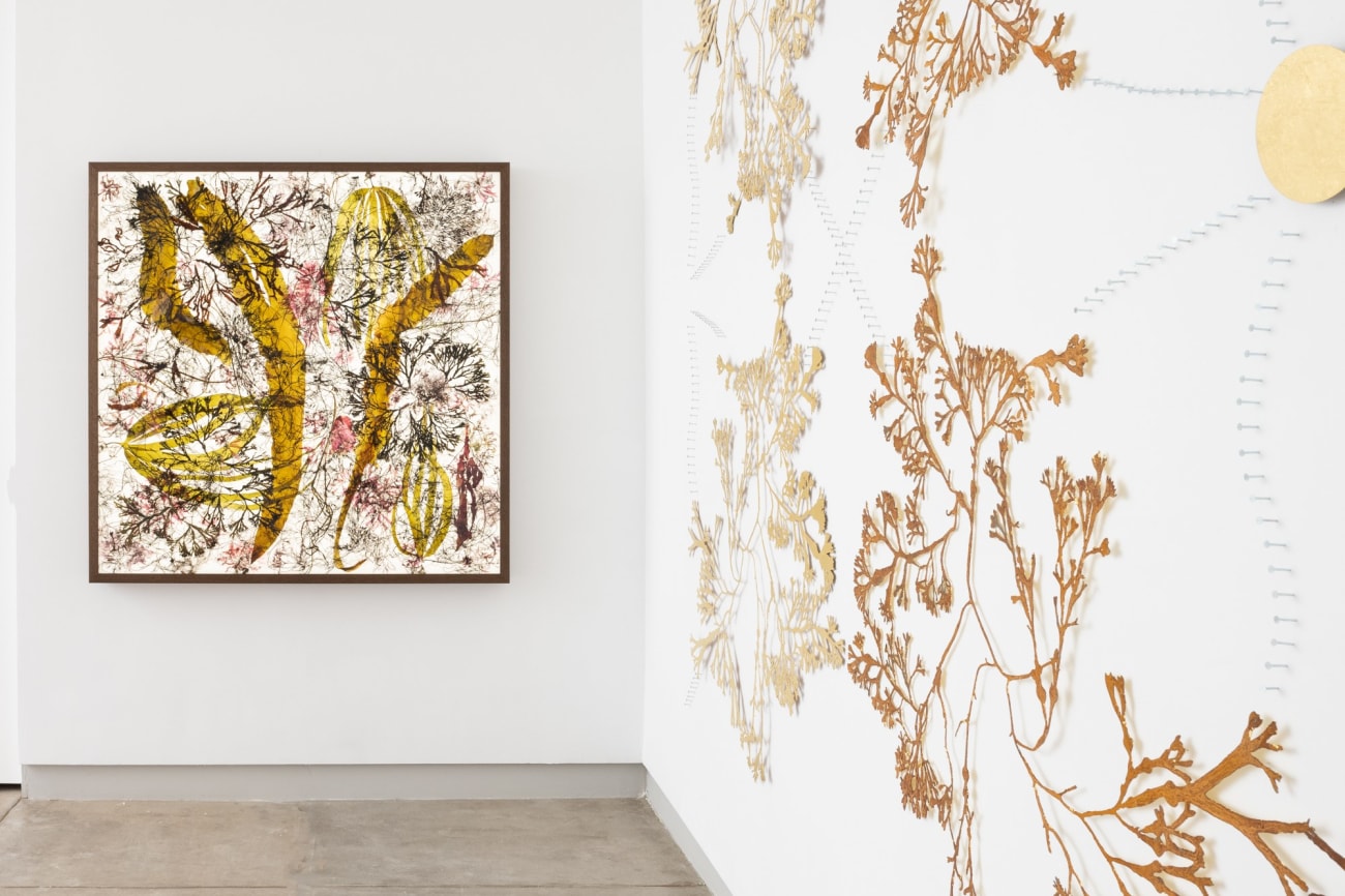 Astrid Krogh: Arabesque | Los Angeles