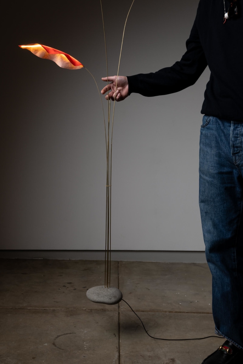 Jake Coan: Species | Los Angeles