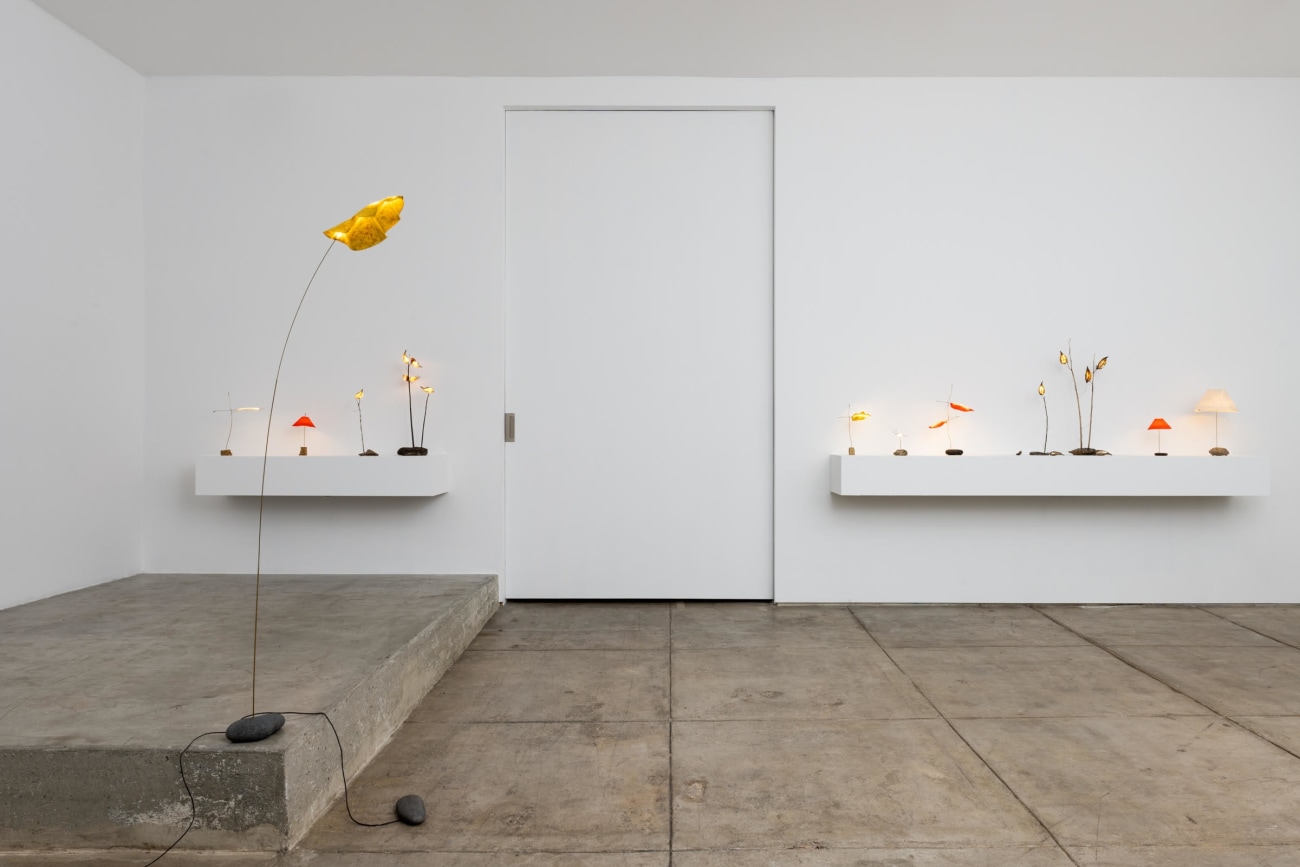 Jake Coan: Species | Los Angeles