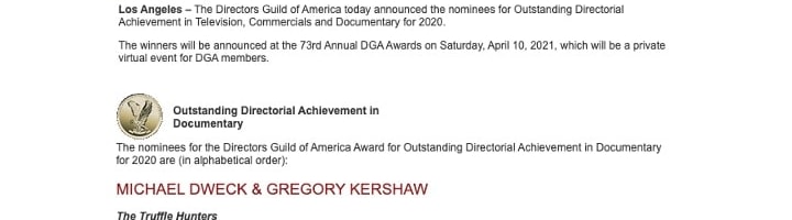 DGA Announces Nominees for Outstanding Directorial Achievement in Television, Commercials and Documentary for 2020