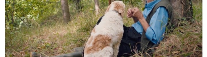 The Truffle Hunters Trailer: A Delightful Culinary Search for Treasure Backed by Luca Guadagnino