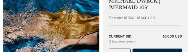 Michael Dweck &quot;Mermaid 105&quot; in Sotheby's Photographs April 2020 Auction