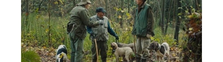 Review: The Truffle Hunters (2020) Dir. Michael Dweck &amp; Gregory Kershaw