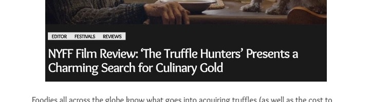 NYFF Film Review: ‘The Truffle Hunters’ Presents a Charming Search for Culinary Gold