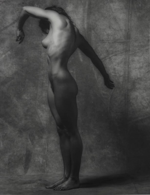 Robert Mapplethorpe - Lisa Lyon, 1981 | The Armory Show 2019 | Bruce Silverstein Gallery