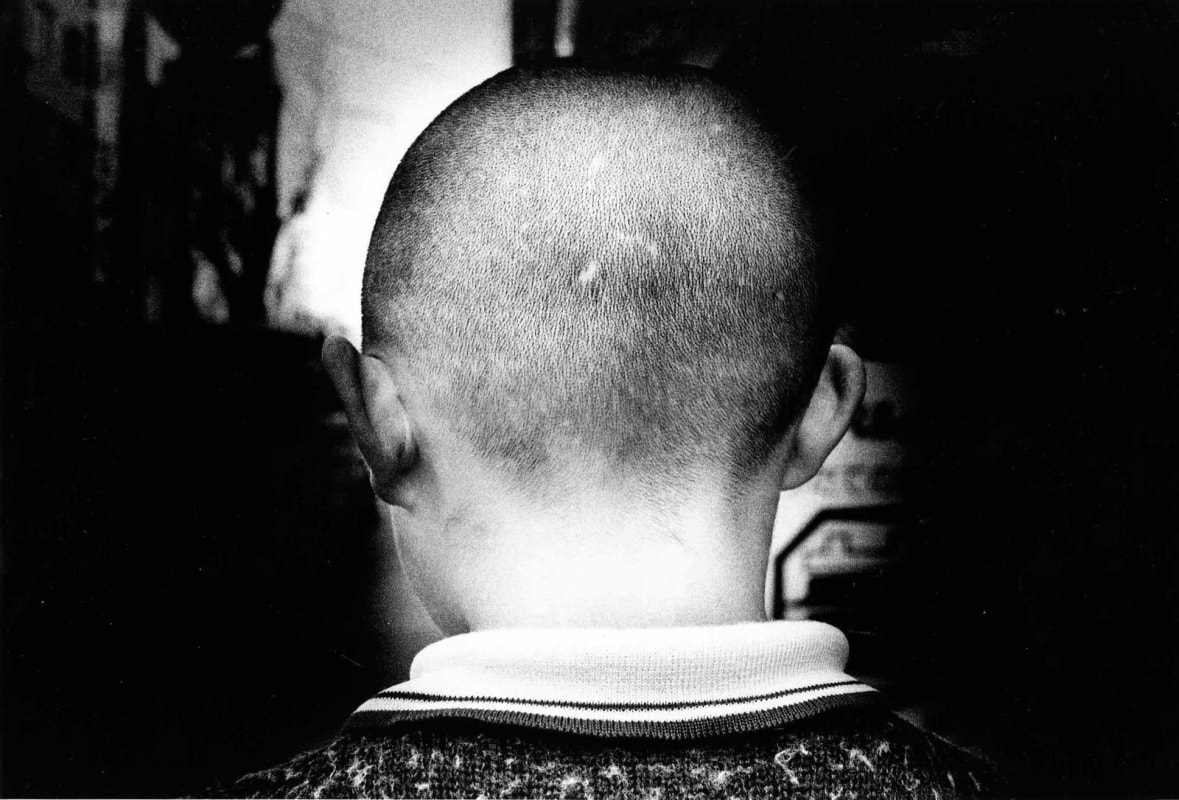 Daido Moriyama - Memory of a Dog 2, 1981 | The Armory Show 2019 | Bruce Silverstein Gallery